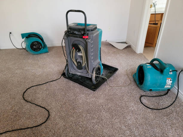 Best Professional water damage repair  in Clarkston, GA