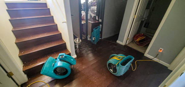 Best Mold removal after water damage  in Clarkston, GA