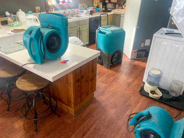 Best Water damage restoration experts  in Clarkston, GA