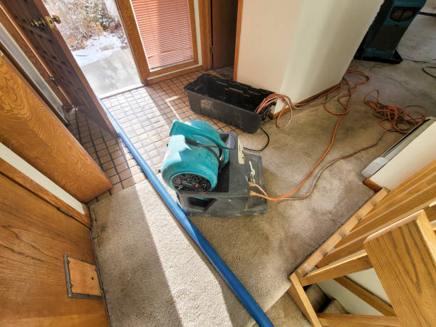 Best Carpet water damage restoration  in Clarkston, GA