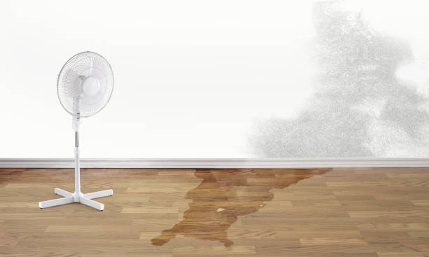 Best Emergency water damage restoration  in Clarkston, GA
