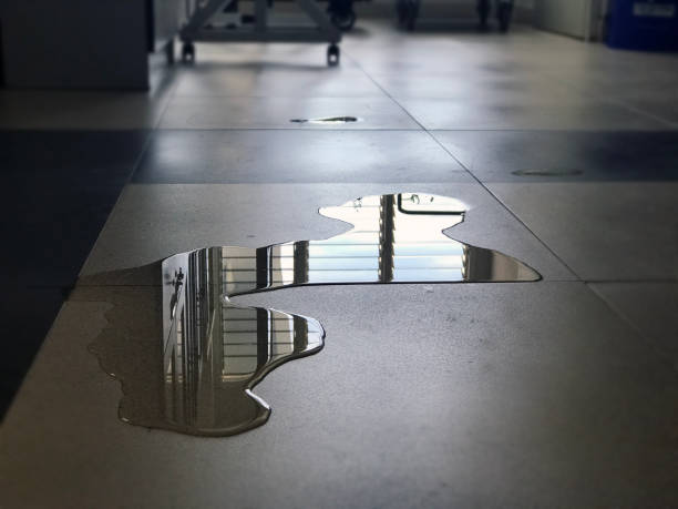 Best 24/7 water damage repair  in Clarkston, GA